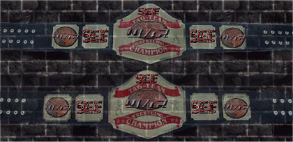 WAR Tag Team Titles